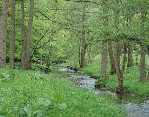 16.5.2010 048Fischzucht_edited