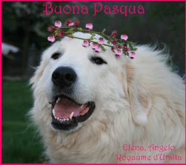 Pasqua09_edited